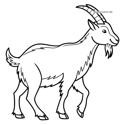 Ein detaillierter Ziegenbock in Seitenansicht mit langen, gebogenen Hörnern, Bart und struppigem Fell in klaren schwarzen Linien.