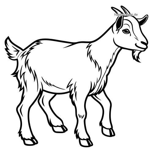 Detailreiche Umrisszeichnung einer Zwergziege in Seitenansicht mit zotteligem Fell, kurzen Hörnern und angehobenem Vorderbein.