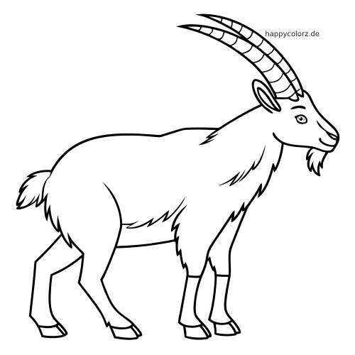 Ein einfacher Steinbock in Seitenansicht mit langen, gebogenen Hörnern als klare schwarz-weiße Umrisszeichnung.