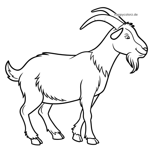 Schwarz-weiße Umrisszeichnung einer einfachen Ziege in Seitenansicht mit gebogenen Hörnern und langem Bart im klaren Comicstil.