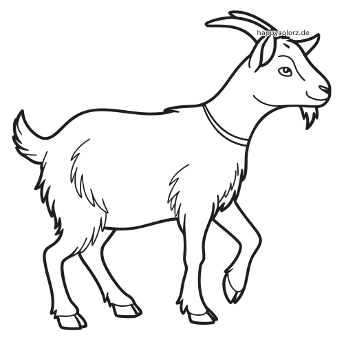 Einfache Umrisszeichnung einer Zwergziege in Seitenansicht mit gebogenen Hörnern, zotteligem Fell und angehobenem Vorderbein.