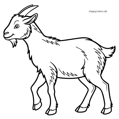 Eine Kaschmirziege in Seitenansicht mit lächelndem Gesicht, kurzem Bart und flauschigem Fell in kräftigen schwarzen Umrissen.