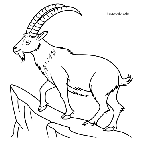 Ein Steinbock mit langen, gebogenen Hörnern steht auf einem Felsvorsprung, gezeichnet als klare Schwarz-Weiß-Kontur.