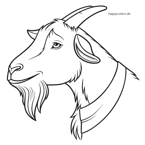 Schwarz-weißes Seitenporträt eines Ziegenkopfs mit langem Bart, gebogenen Hörnern und Halsband als klare Linienzeichnung.