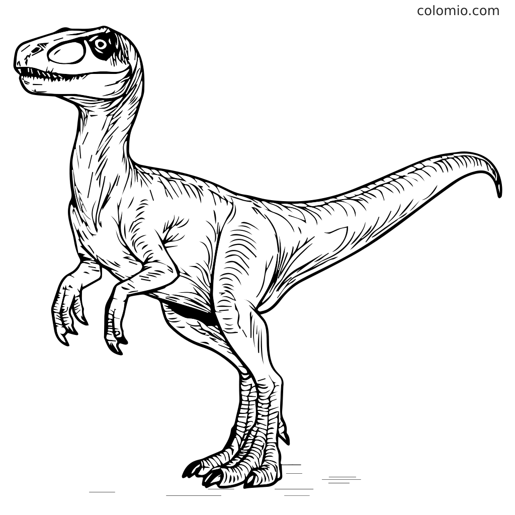 Eine detaillierte Linienzeichnung eines Velociraptors, der auf zwei Beinen steht, perfekt zum Ausmalen.