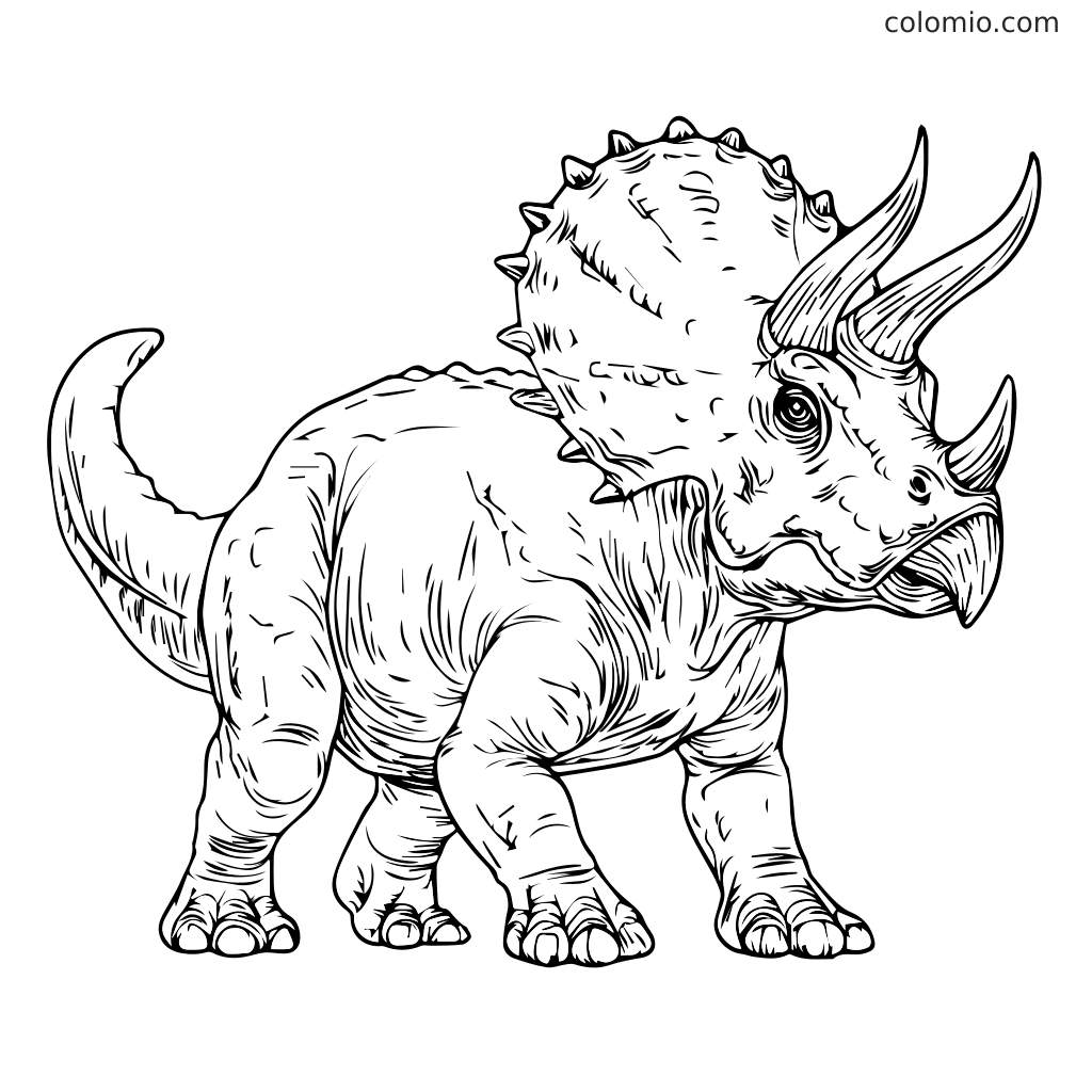 Eine detaillierte Schwarz-Weiß-Kontur eines Triceratops-Dinosauriers, perfekt zum Ausmalen.
