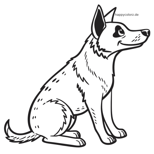 Ein sitzender Australian Cattle Dog im schlichten Porträtstil mit aufrechten Ohren, gesprenkeltem Fell und kräftigen schwarzen Konturen.