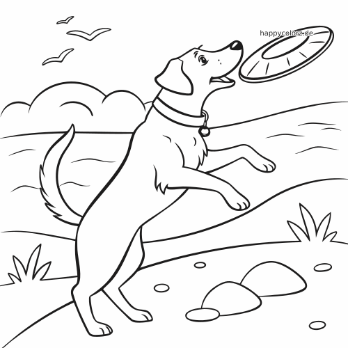Detailreiche Linienzeichnung eines Hundes am Strand, der nach einer Frisbee springt, mit Wellen, Vögeln, Steinen und Gras.