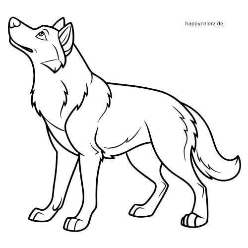 Einfache Linienzeichnung eines stehenden Siberian Husky in Seitenansicht mit erhobenem Kopf und flauschigem Fell.