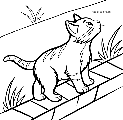 Eine Linienzeichnung einer polydaktylen Katze auf einem Gartenweg, die nach oben blickt, mit gestreiftem Fell und großen Pfoten.