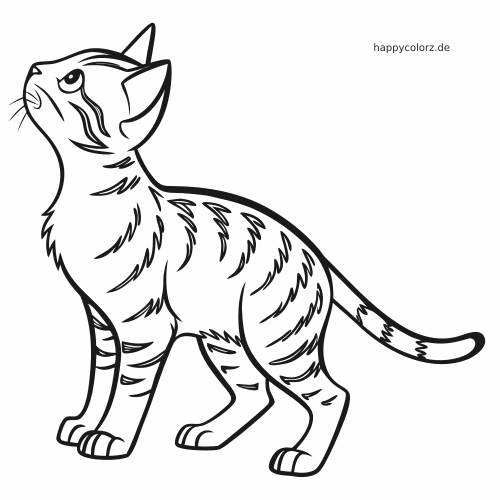 Detaillierte Linienzeichnung einer Bengalkatze, die nach oben schaut, mit Fellstruktur, Streifen und gebogenem Schwanz.