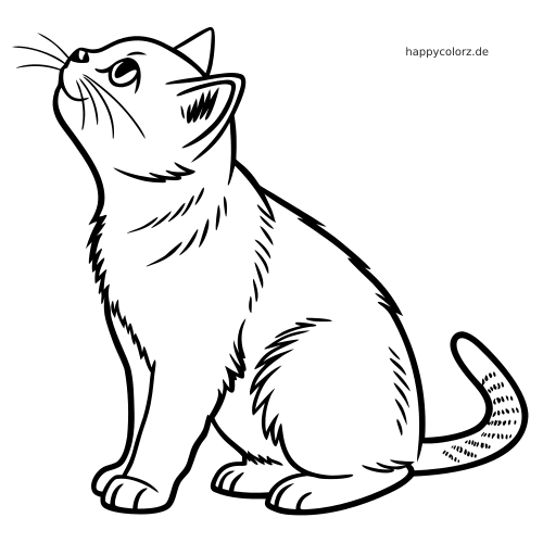 Detailreiche Linienzeichnung einer sitzenden Britisch-Kurzhaar-Katze, die nach oben blickt, mit Fellstruktur und markiertem Schwanz.