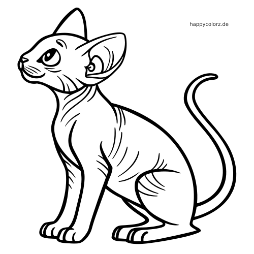 Detailreiche Linienzeichnung einer sitzenden haarlosen Sphynx-Katze mit sichtbaren Hautfalten, großen Augen und langem gebogenem Schwanz.