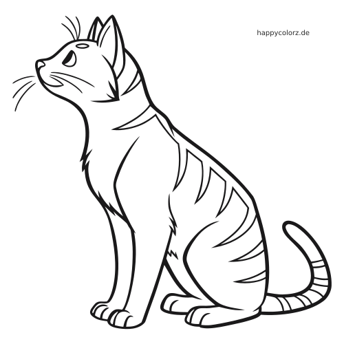 Einfache Linienzeichnung einer sitzenden Polydaktyl-Katze im Profil mit gestreiftem Fell und großen Vorderpfoten.