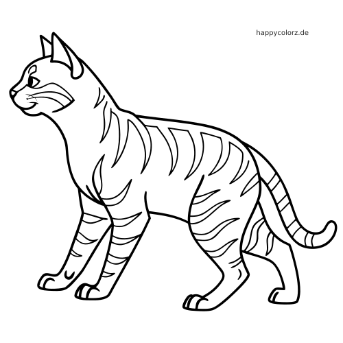 Einfache Linienzeichnung einer stehenden Bengalkatze in Seitenansicht mit deutlichen Streifen und klarer Kontur.