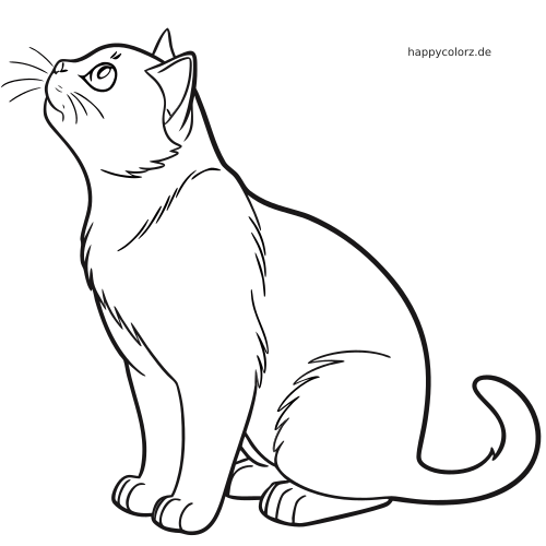 Einfache Linienzeichnung einer sitzenden Britisch-Kurzhaar-Katze, die nach oben blickt, mit klaren Konturen und wenig Felldetails.