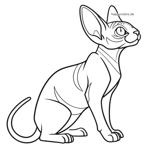 Einfache Strichzeichnung einer sitzenden Sphynx-Katze in Seitenansicht mit großen Ohren, glatten Körperlinien und gebogenem Schwanz.