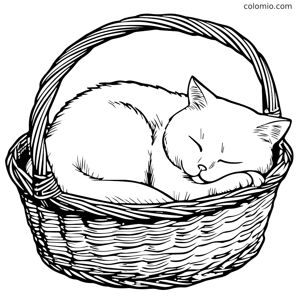 Niedliche Katze schläft in einem Korb Ausmalbild Eine Linienzeichnung einer niedlichen Katze, die sich eingerollt in einem geflochtenen Korb schläft, perfekt zum Ausmalen.