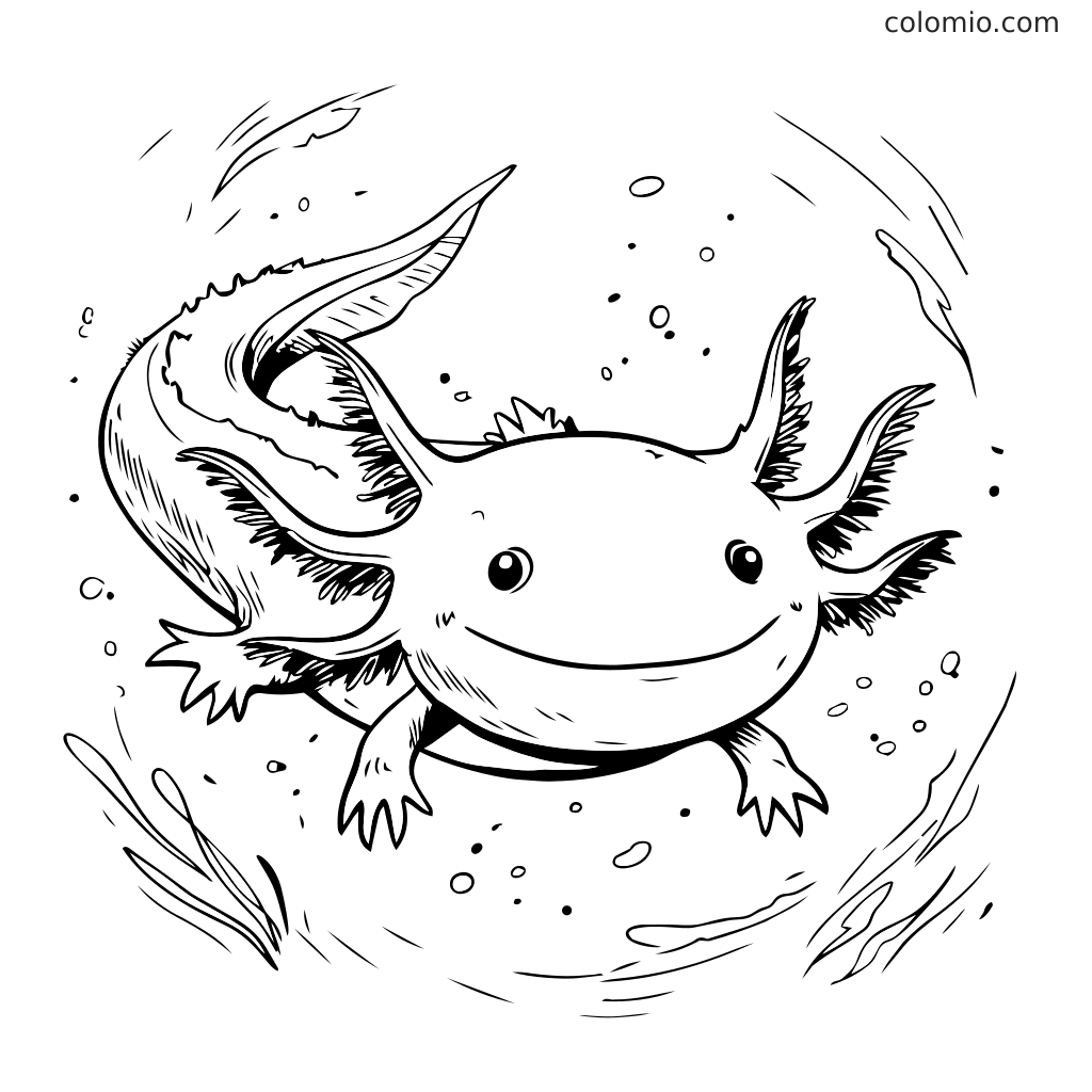 Ein verspielter Axolotl schwimmt im Wasser, gestaltet für Malaktivitäten.