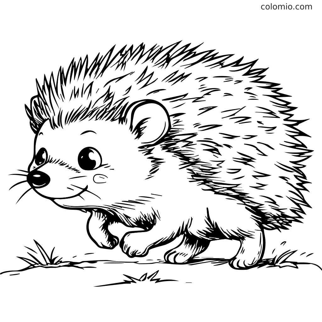 Ein niedlicher Igel mit stacheligem Fell, der über das Gras läuft und darauf wartet, von Kindern ausgemalt zu werden.