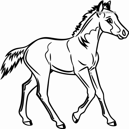 Kräftige Linienzeichnung eines Quarter Horses in Bewegung, mit angehobenen Beinen und wehender Mähne und Schweif.