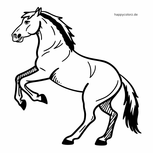 Ein Friesenpferd steigt auf die Hinterbeine, mit langer Mähne und Schweif, als schwarz-weiße Linienzeichnung.