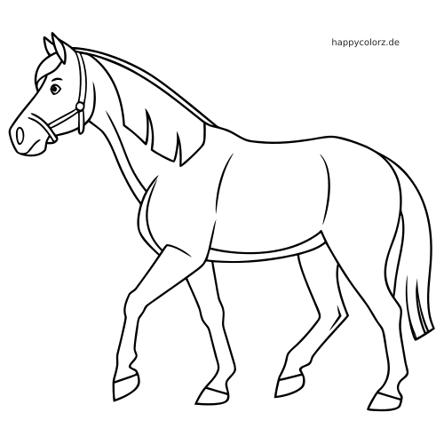 Einfache Konturzeichnung eines Haflinger-Pferdes in Seitenansicht, gehend mit Trense und klaren, kräftigen Linien.