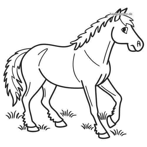 Ein Haflinger-Pferd mit zotteliger Mähne und Schweif läuft in der Seitenansicht durch Gras.