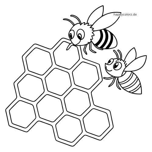 Zwei gezeichnete Bienen schweben neben großen Bienenwaben mit einfachen sechseckigen Zellen in einer klaren Schwarz-Weiß-Kontur.