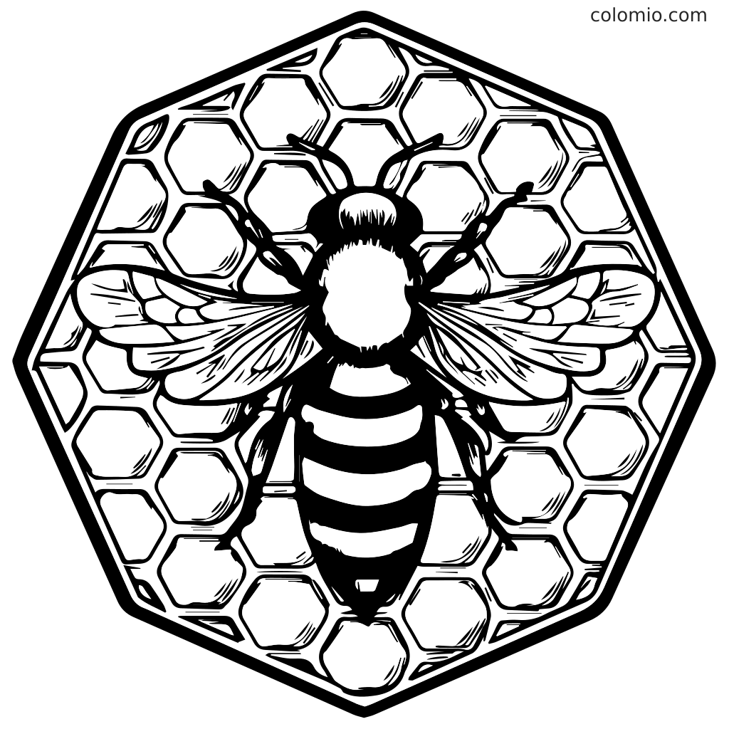 Eine detaillierte Malvorlage mit einer Biene auf einer Honigwabe, perfekt für Kinderaktivitäten.