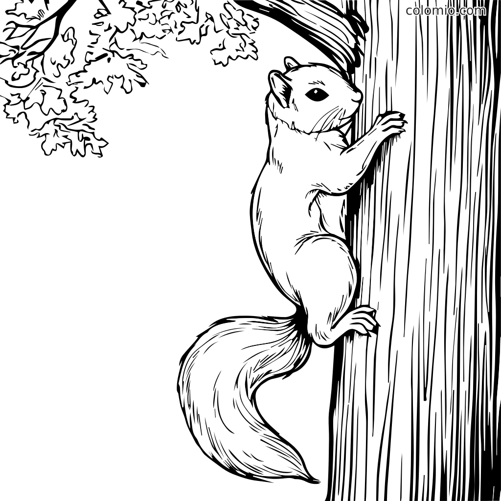 Eine detaillierte Umrisszeichnung eines Eichhörnchens, das auf einen Baum klettert, perfekt zum Ausmalen.