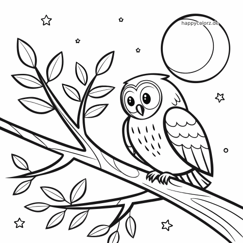 Eine Cartoon-Eule mit großen Augen sitzt nachts auf einem Ast, umgeben von Blättern, Sternen und einem großen Mond.