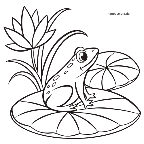 Ein Frosch mit großen Augen sitzt auf einem Seerosenblatt, daneben sind hohes Schilf und eine Wasserblüte zu sehen.