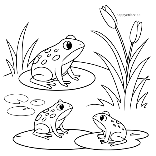 Drei Frösche sitzen auf Seerosenblättern in einem Teich, umgeben von Schilf und Blumen, als einfache Umrisszeichnung.