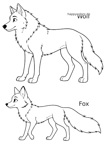Schwarz-weißer Anatomievergleich mit einem Wolf oben und einem Fuchs unten in einfachen Seitenansichten als Umrisszeichnungen.