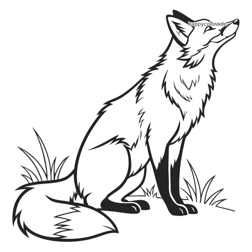 Ein realistischer Rotfuchs sitzt mit erhobenem Kopf zwischen kleinen Grasbüscheln; Fell und Konturen sind detailliert gezeichnet.