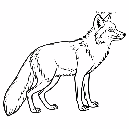 Ein realistischer Rotfuchs steht in Seitenansicht, mit detaillierten Felllinien und einem großen buschigen Schwanz.