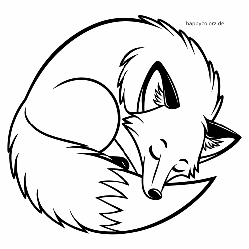 Ein schlafender Fuchs, zu einem Kreis zusammengerollt, als einfaches schwarz-weißes Linienbild mit buschigem Schwanz und geschlossenen Augen.