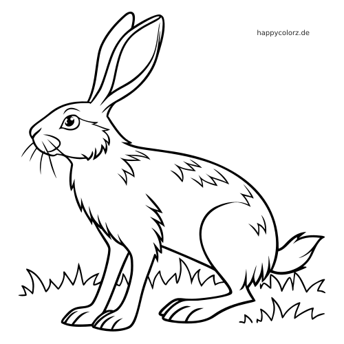 Ein Feldhase im Comic-Stil in Seitenansicht mit langen Ohren, zotteligem Fell und Gras unter den Pfoten.