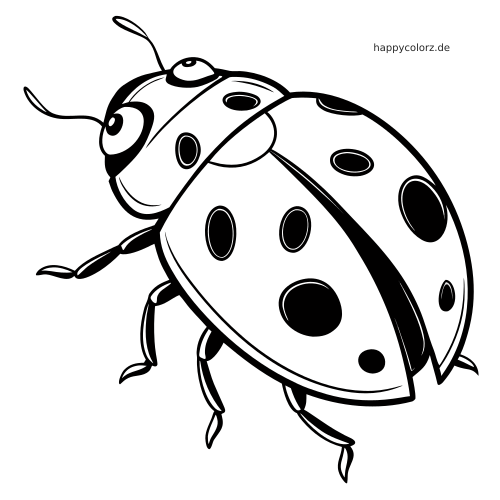 Ein Kawaii-Marienkäfer in Nahaufnahme mit großen Augen, runden Flügeln und deutlichen schwarzen Punkten als einfache Linienzeichnung.
