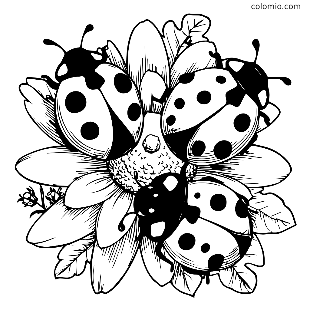 Eine schwarz-weiße Malvorlage mit Marienkäfern auf einer Blume, perfekt zum Ausmalen für Kinder.