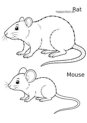 Schwarz-weißer Vergleich von Ratte und Maus nebeneinander, mit deutlich sichtbaren Unterschieden bei Körperform, Ohren und Schwanz.