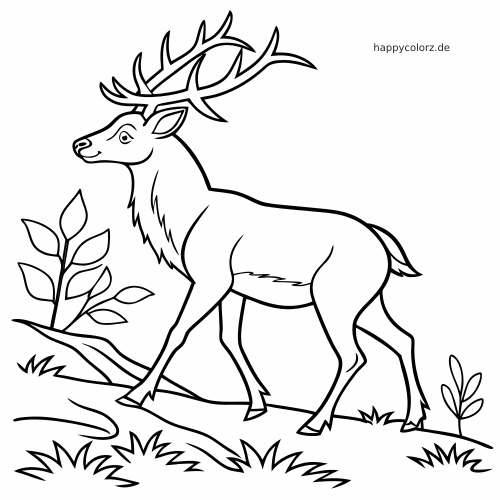 Ein Hirsch mit großem Geweih steht auf einem Waldweg, umgeben von Gras und Pflanzen, als einfache Linienzeichnung.