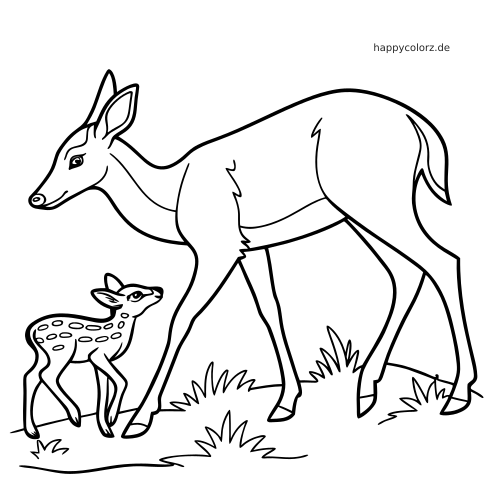 Eine einfache Linienzeichnung zeigt eine Rehmutter, die neben ihrem gefleckten Kitz über Gras läuft.