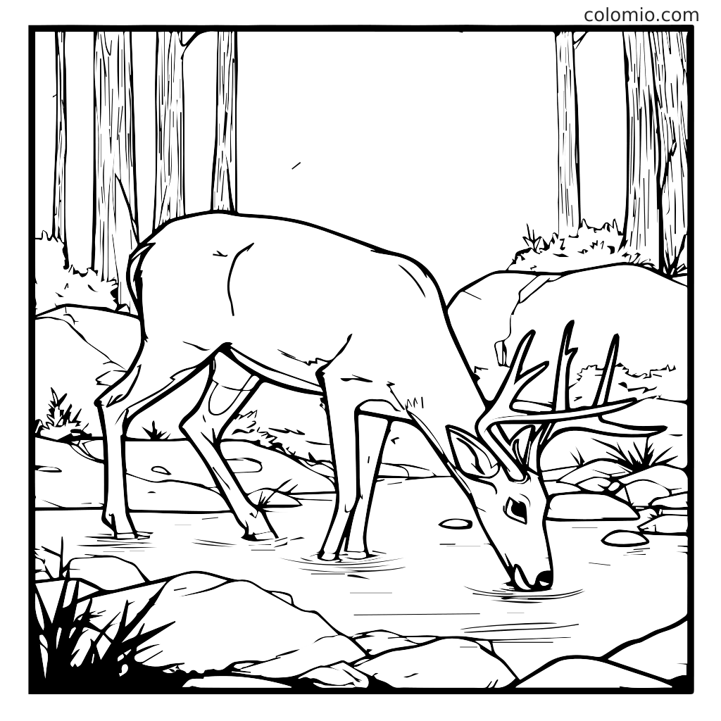 Eine Linienzeichnung eines Rehs, das Wasser aus einem Bach trinkt, umgeben von Bäumen und Steinen, ideal zum Ausmalen.