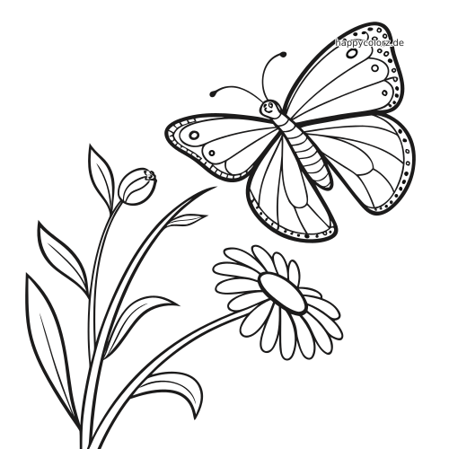 Ein detailreicher Schmetterling mit gemusterten Flügeln fliegt neben einer margeritenähnlichen Blume und blättrigen Stängeln als Schwarz-Weiß-Kontur.