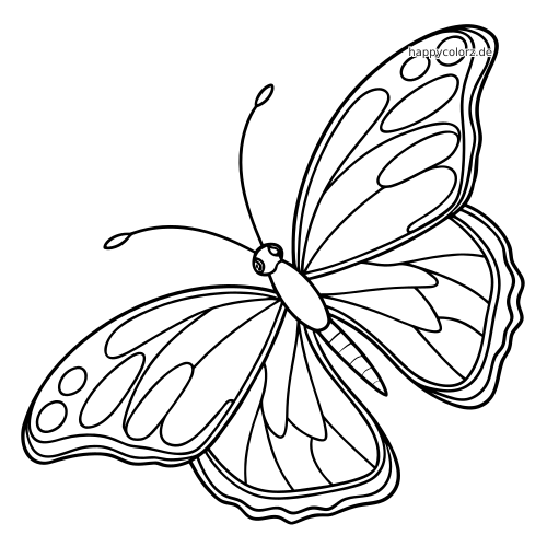 Ein einfacher Schmetterling in Seitenansicht mit großen gemusterten Flügeln und klaren, kräftigen Konturen zum Ausmalen.