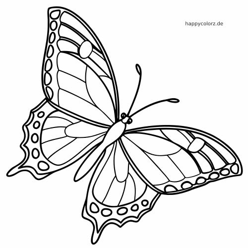 Ein Schwalbenschwanz-Schmetterling in einfacher Seitenansicht mit geöffneten Flügeln, klaren Mustern und dicken Konturen.