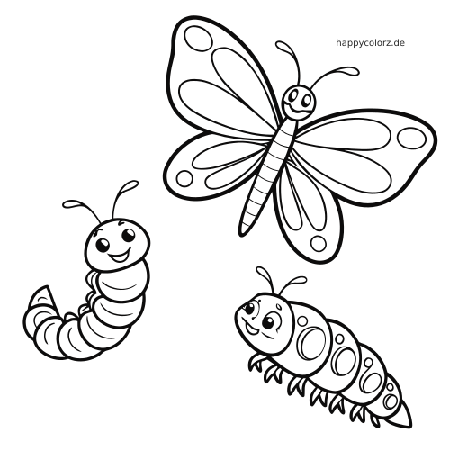 Einfache Illustration zum Schmetterlings-Lebenszyklus mit lächelndem Schmetterling, Raupe und Puppe im Comicstil.