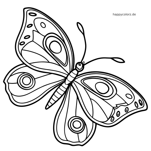 Ein sehr einfacher Schmetterling mit gemusterten Flügeln, dicken schwarzen Konturen, ovalen Flecken und leicht ausmalbaren Formen.